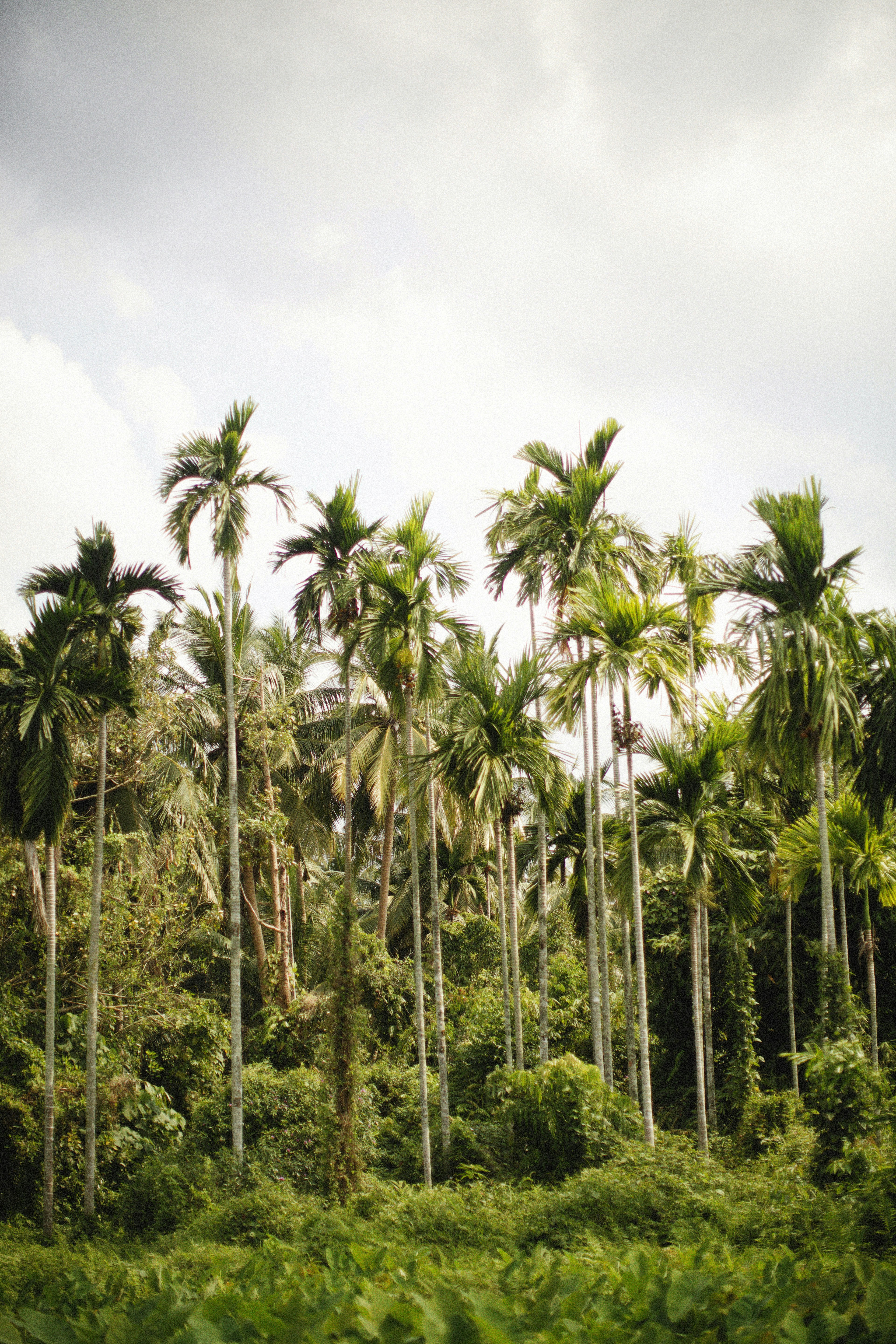 Photo by alexeydemidov