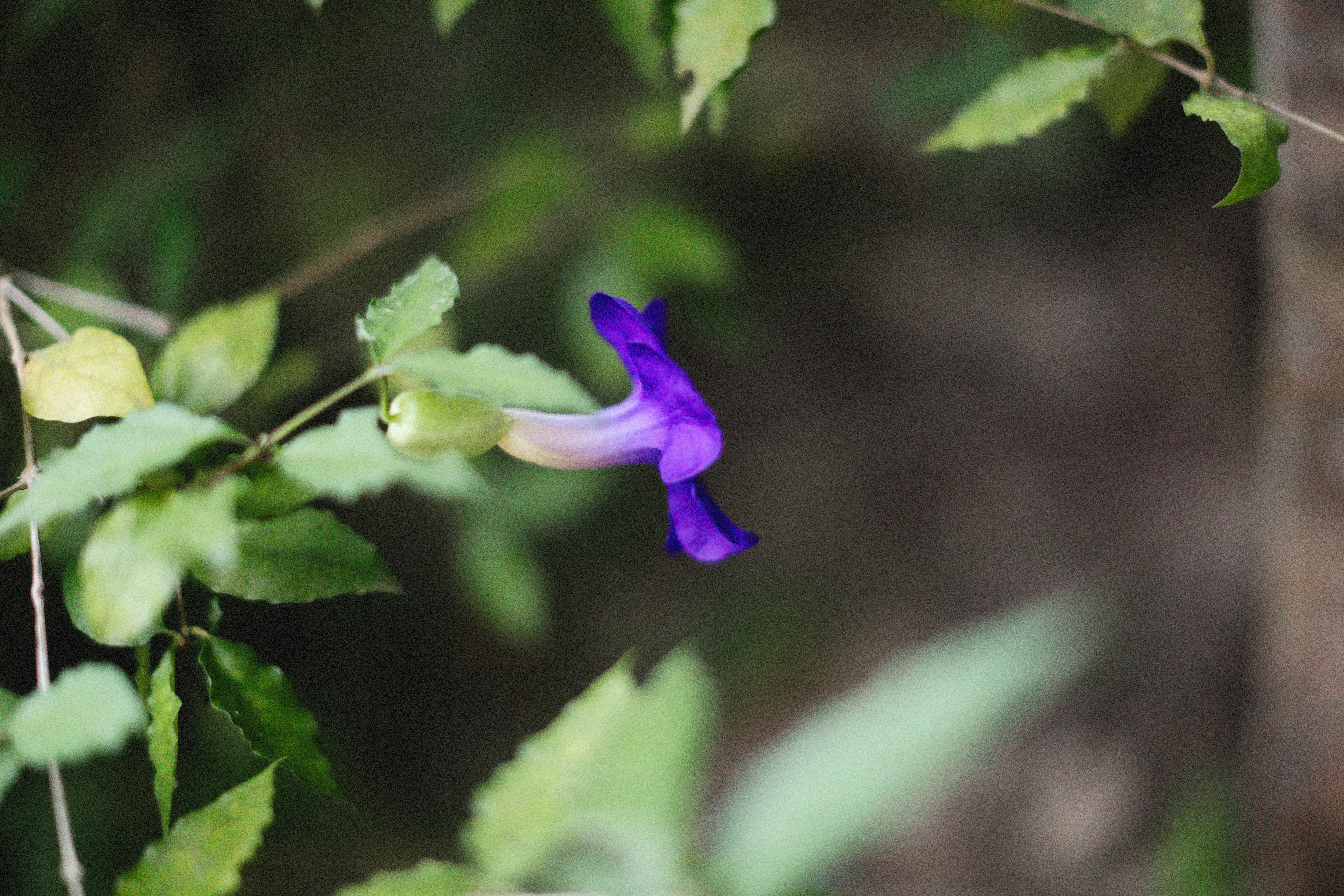 Photo by alexeydemidov