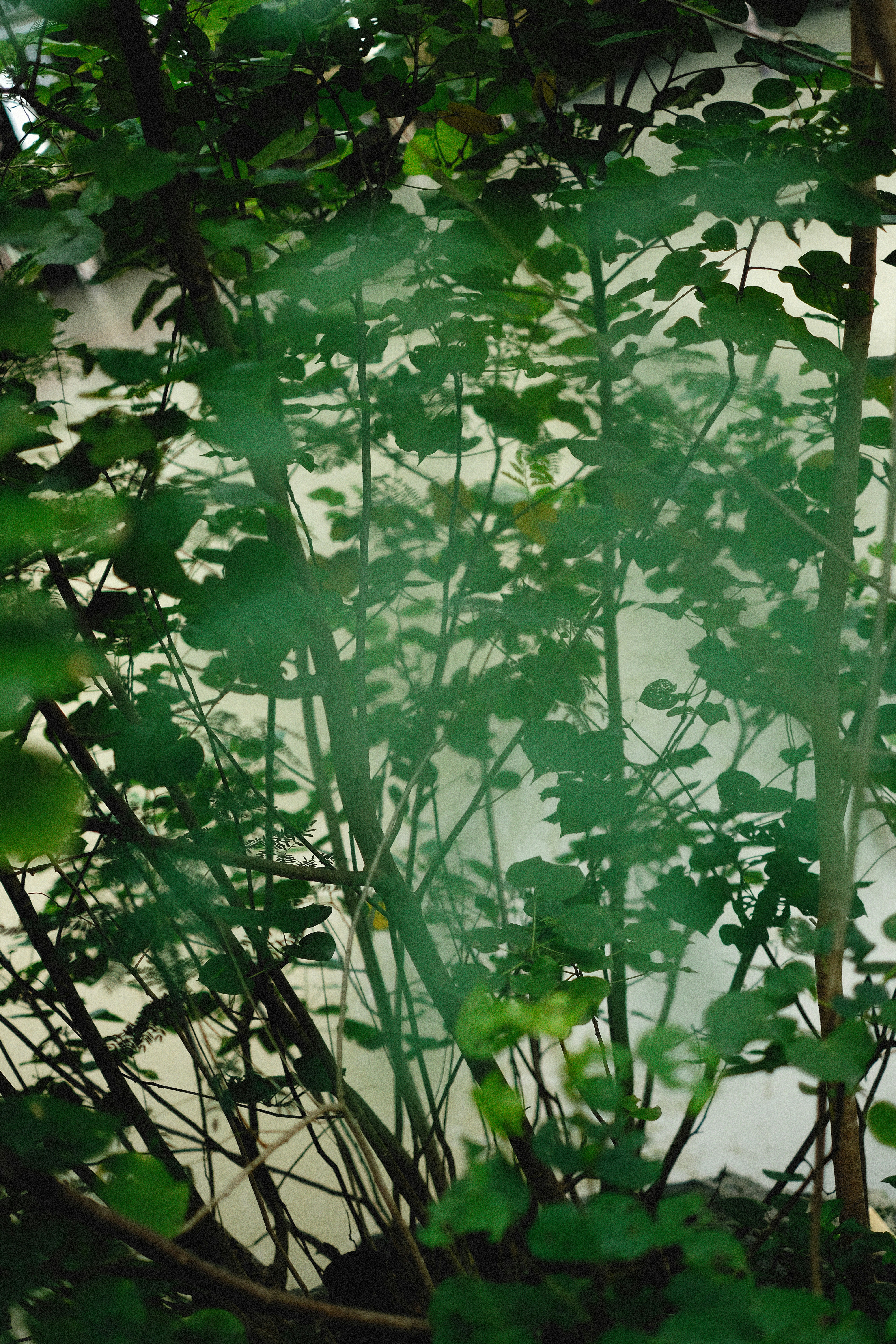 Photo by alexeydemidov