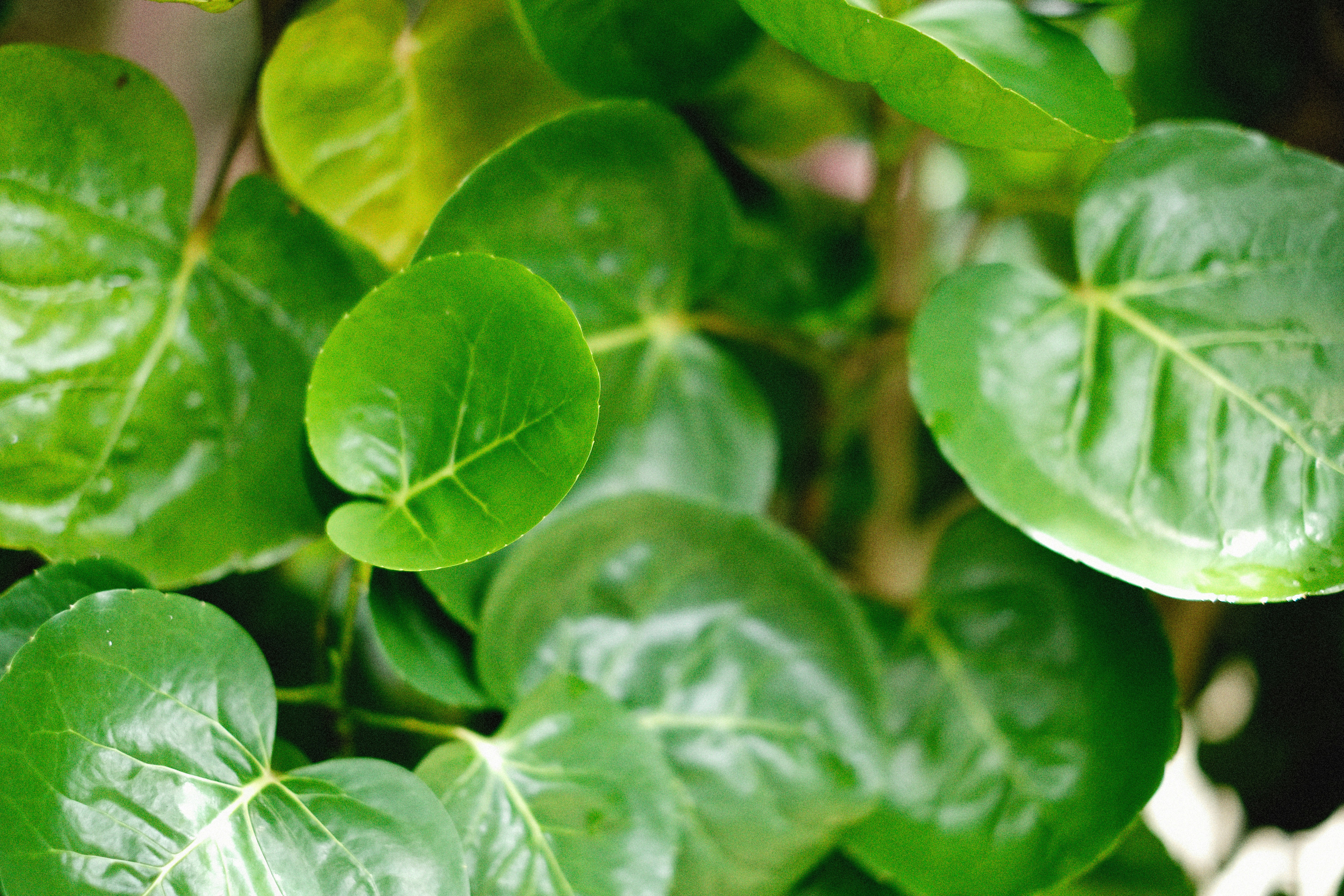 Photo by alexeydemidov