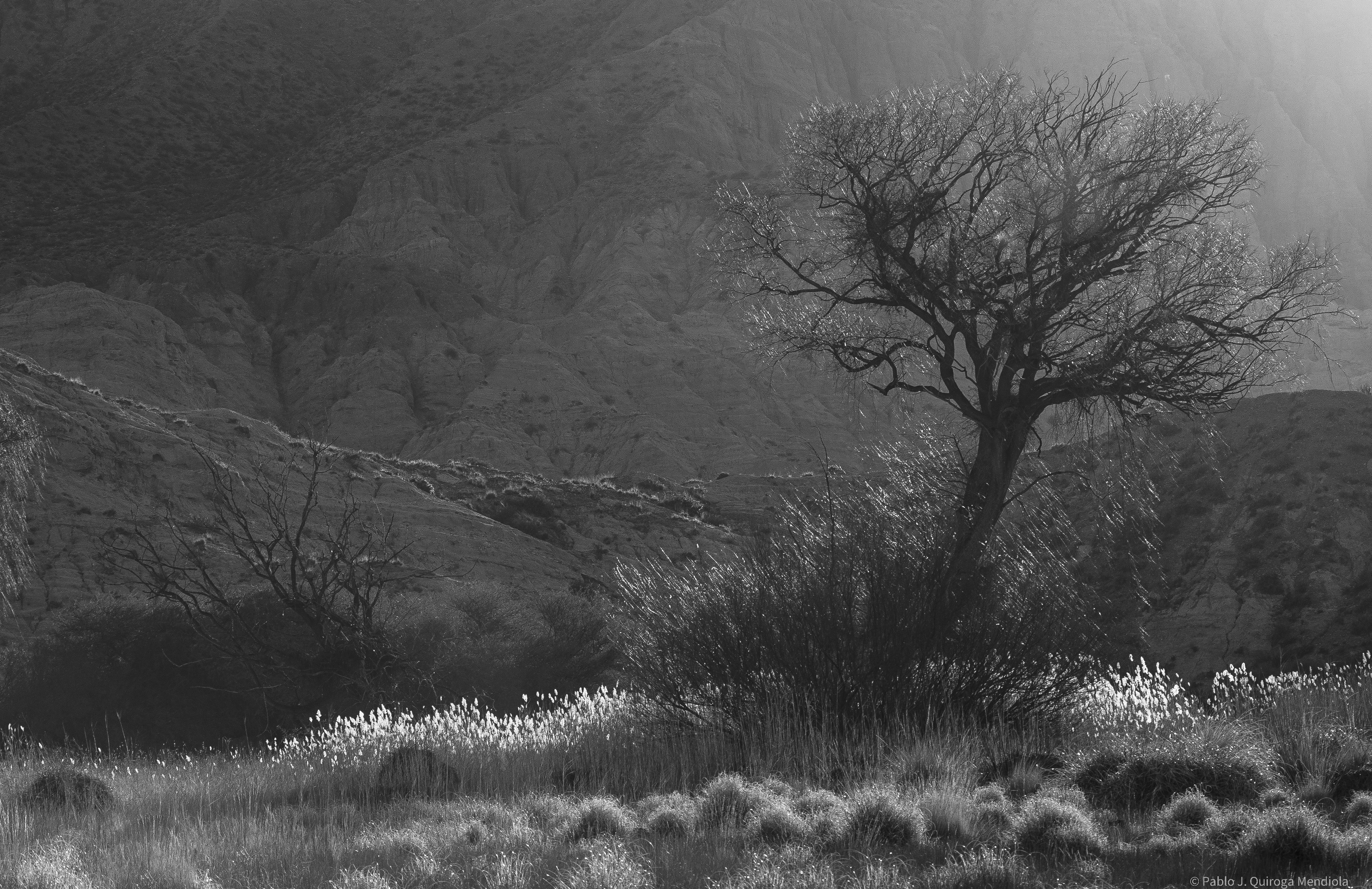 Photo by quirogamendiola