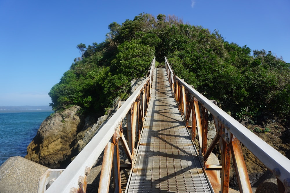 a wooden bridge over a body of water