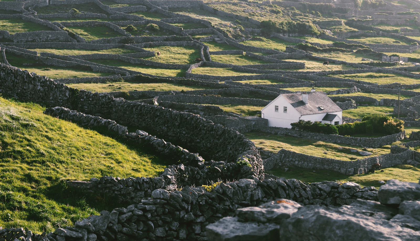 House with a grey roof on a green Irish hillside