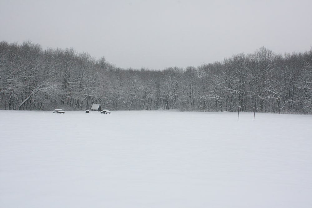 a snow covered field with trees in the background