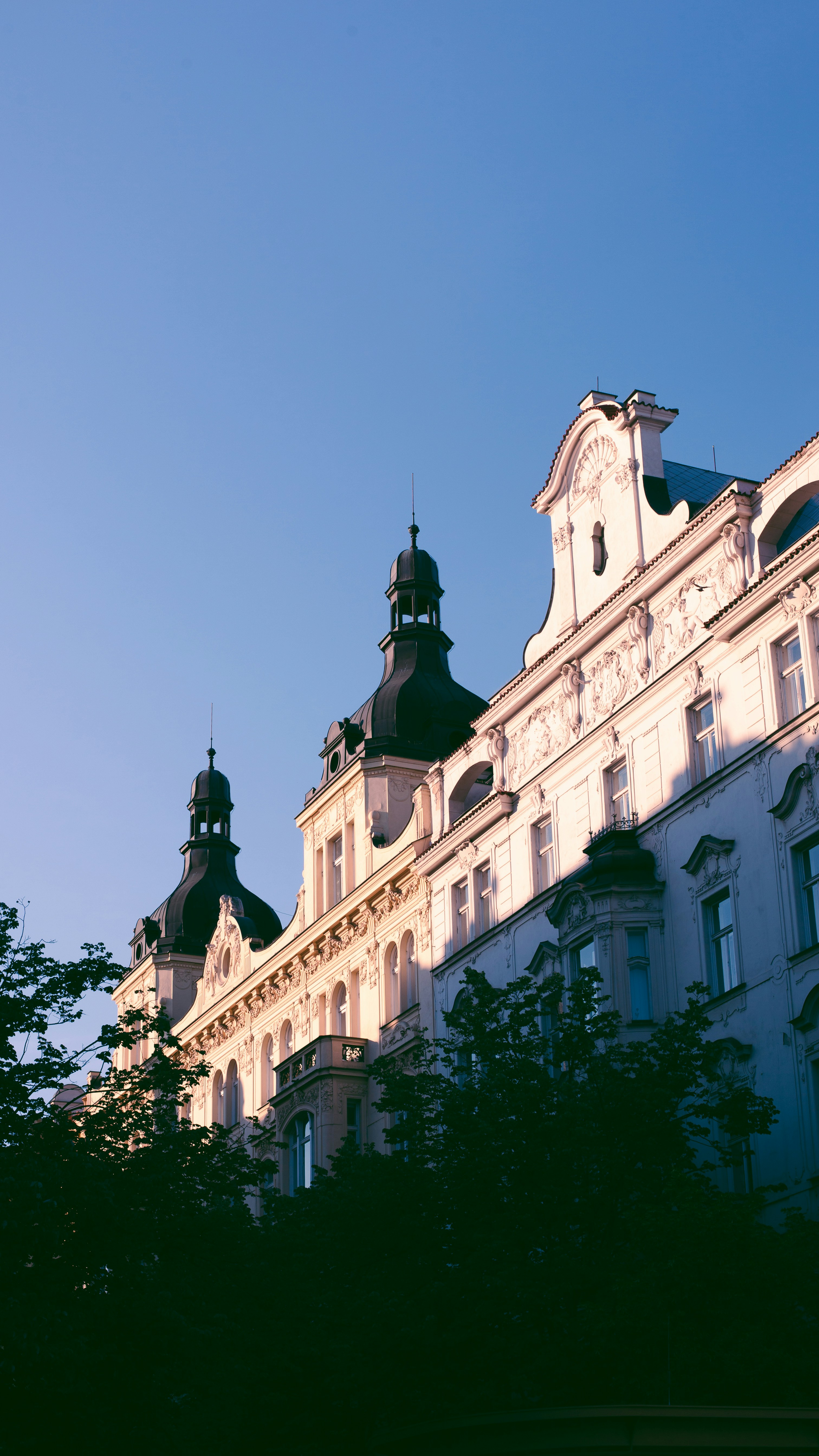 Photo by koryunhills