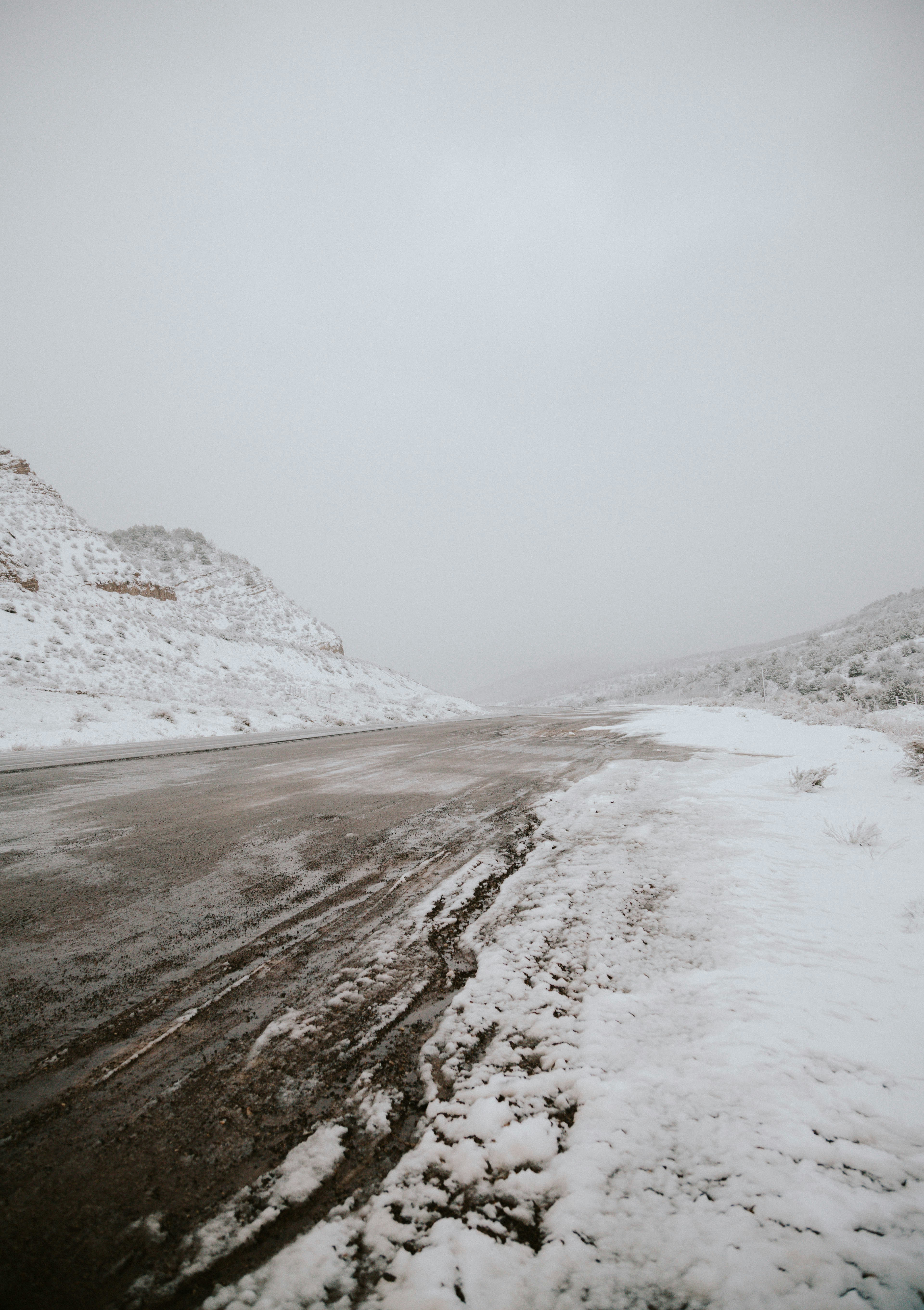 Photo by curiousgeorganna