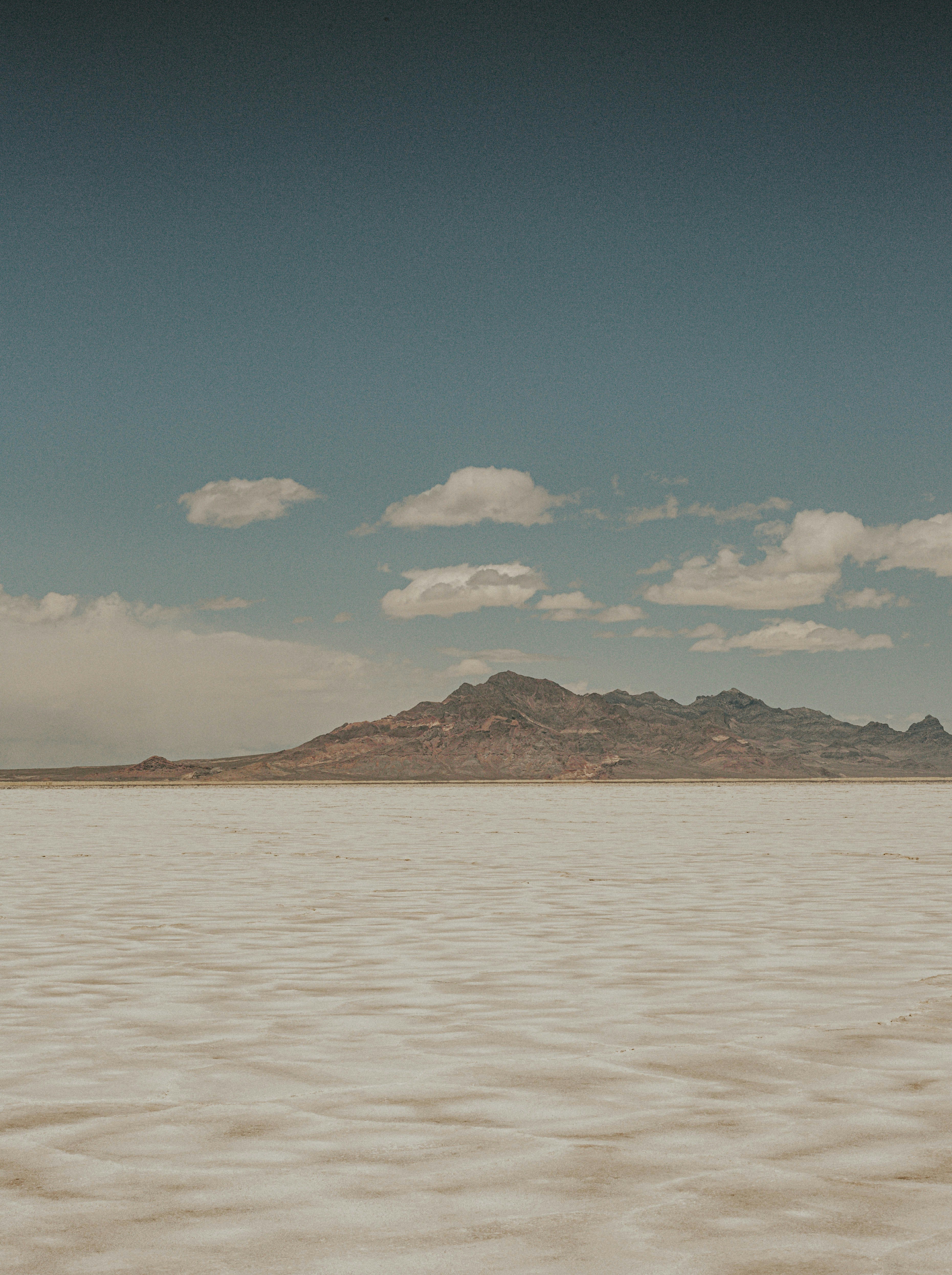 Photo by curiousgeorganna