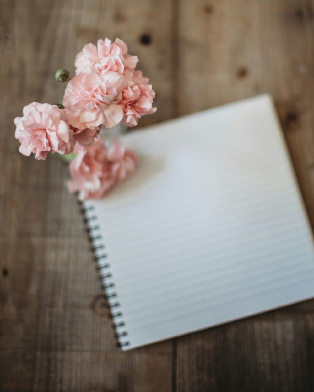 a pink flower on a wooden table