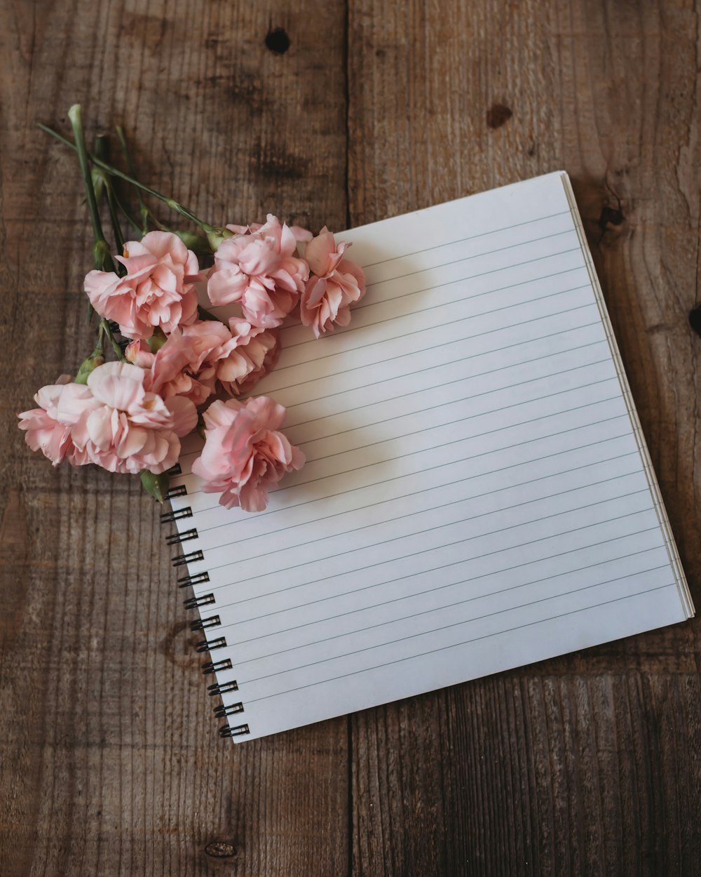 a close up of a flower on a wooden table