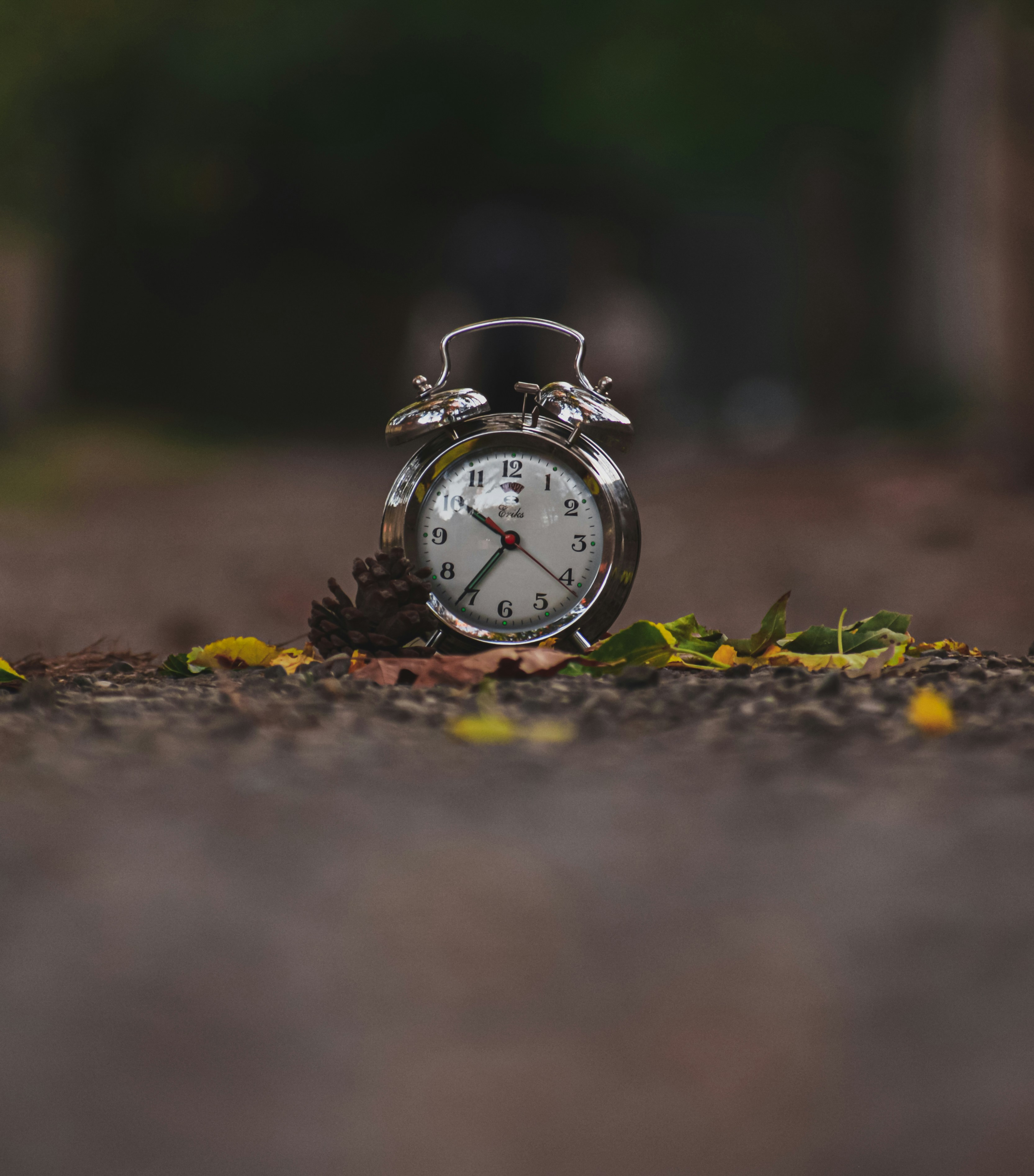 Photo by arvin_graphy