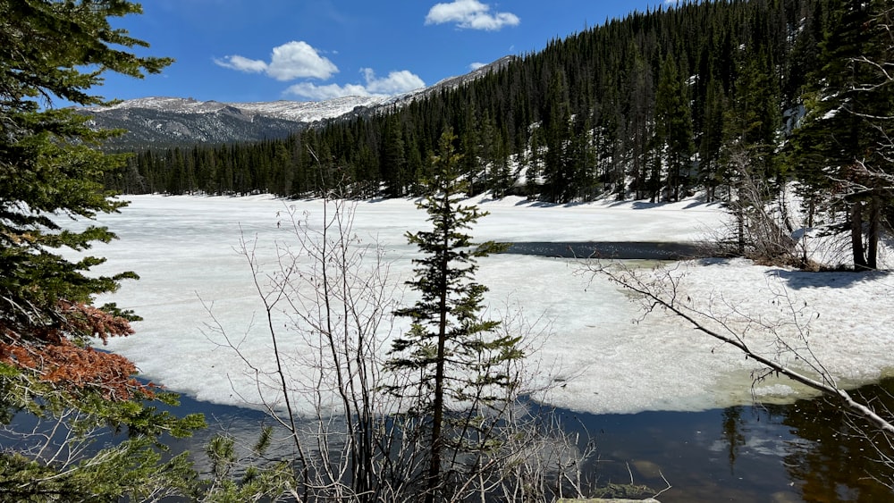 a lake surrounded by trees and snow in the mountains