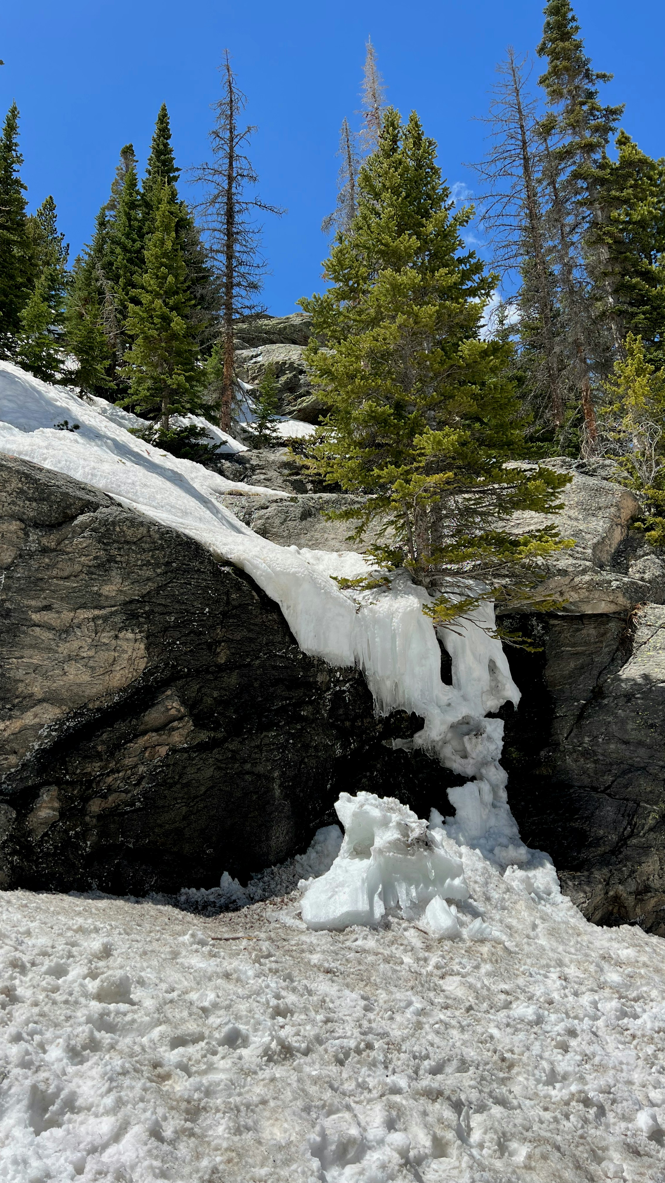 Photo by jfrnfgoaleh