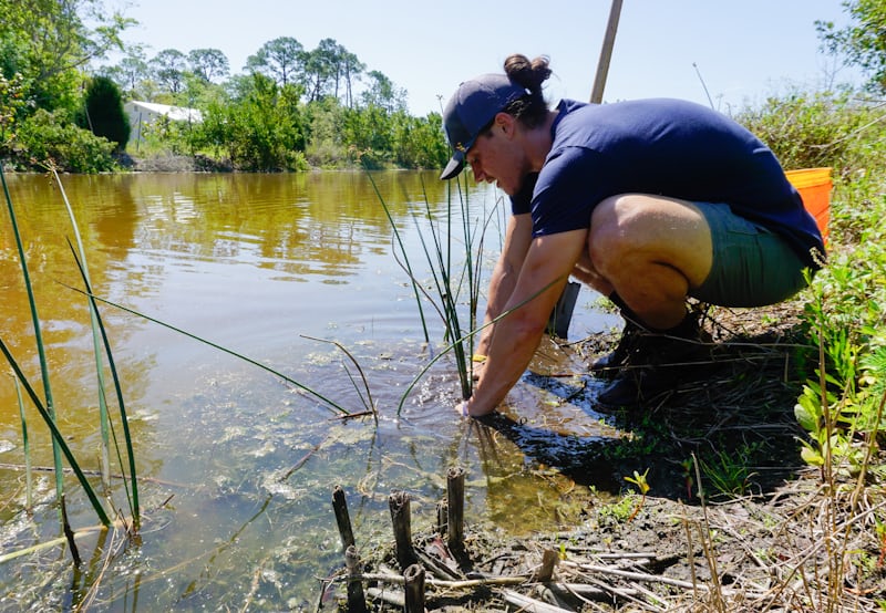 Field technician crouching to collect a water sample