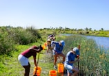 A group of people are working together by a riverside, using tools and orange buckets, surrounded by tall grass and a clear blue sky.
