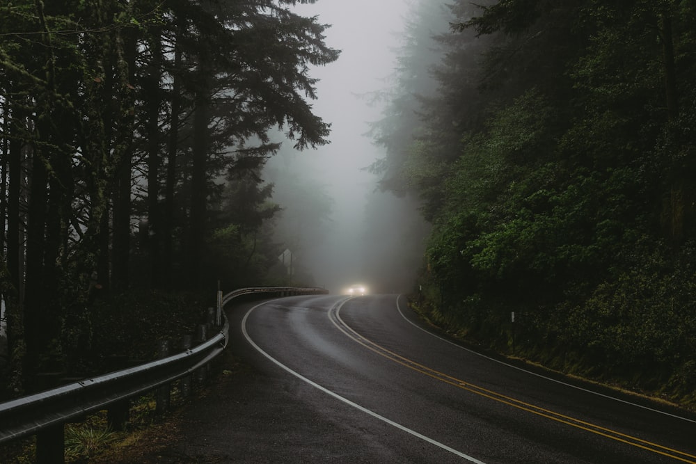 a car driving down a road surrounded by trees