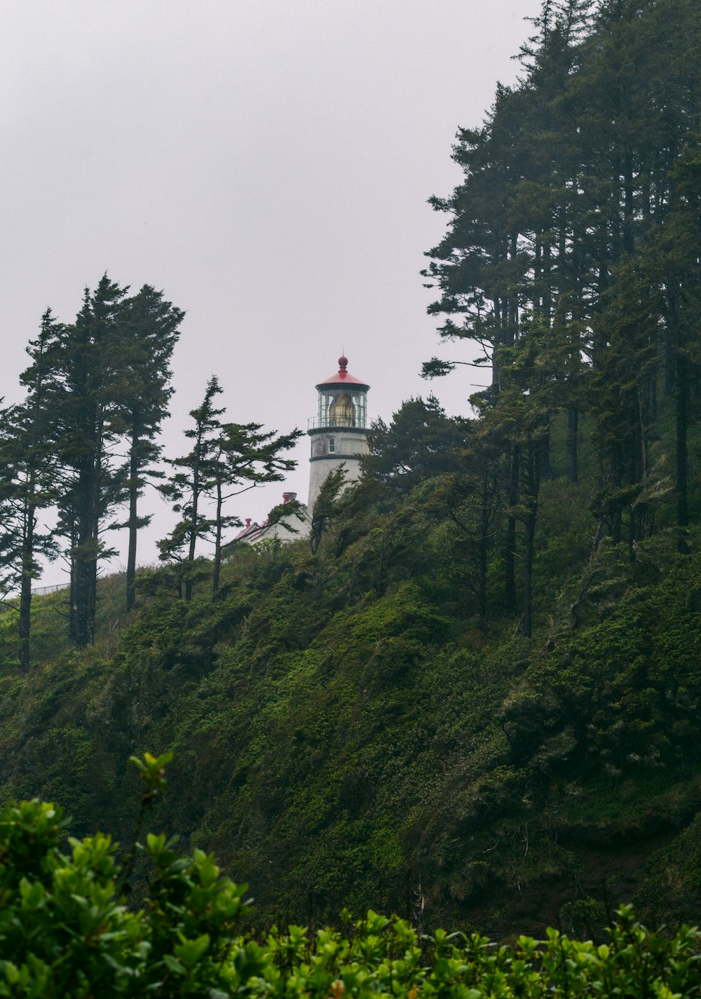 a light house sitting on top of a lush green hillside