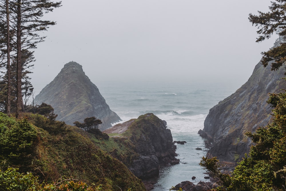 a body of water surrounded by trees on a foggy day