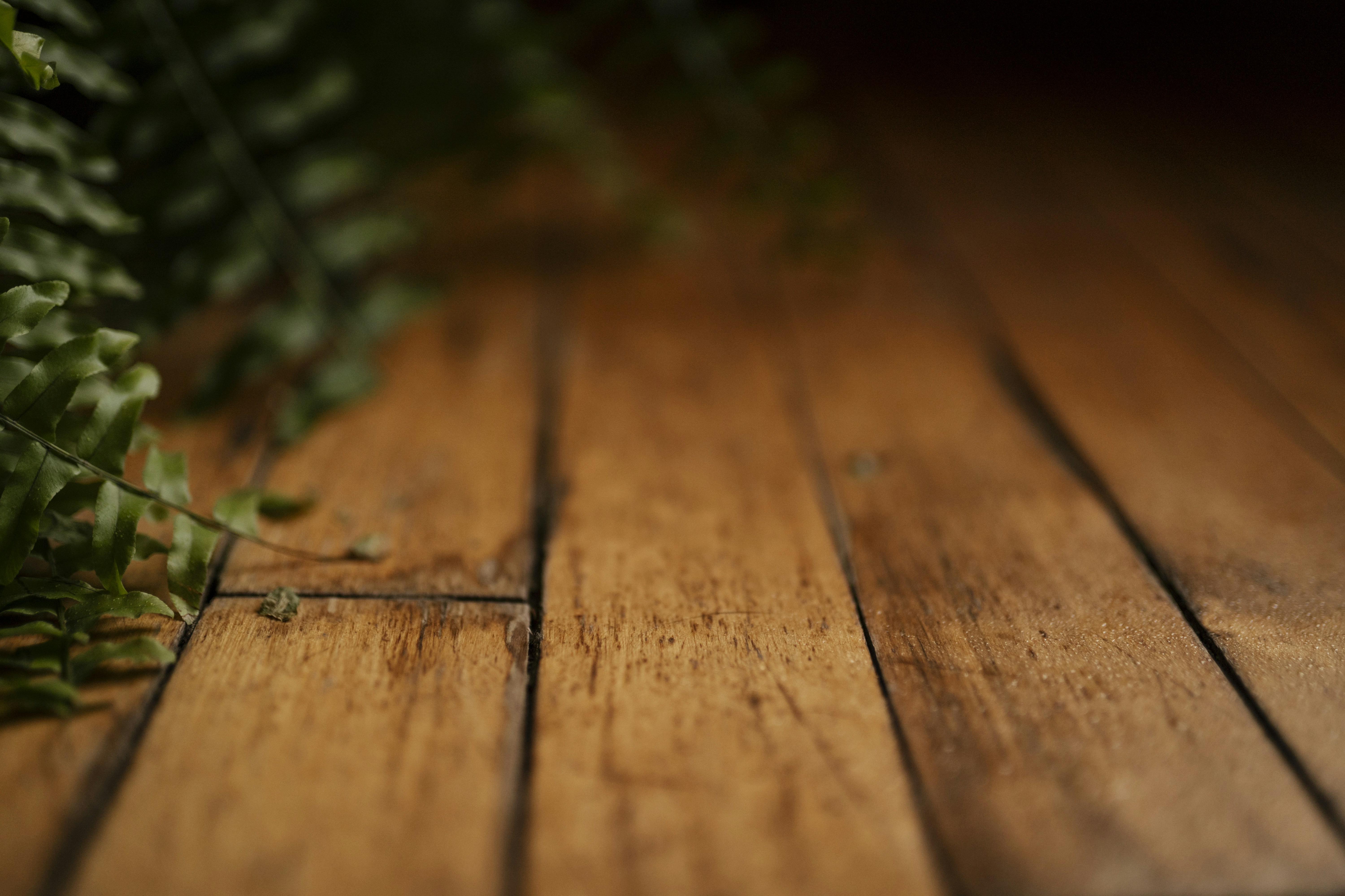 Photo by keithtanman