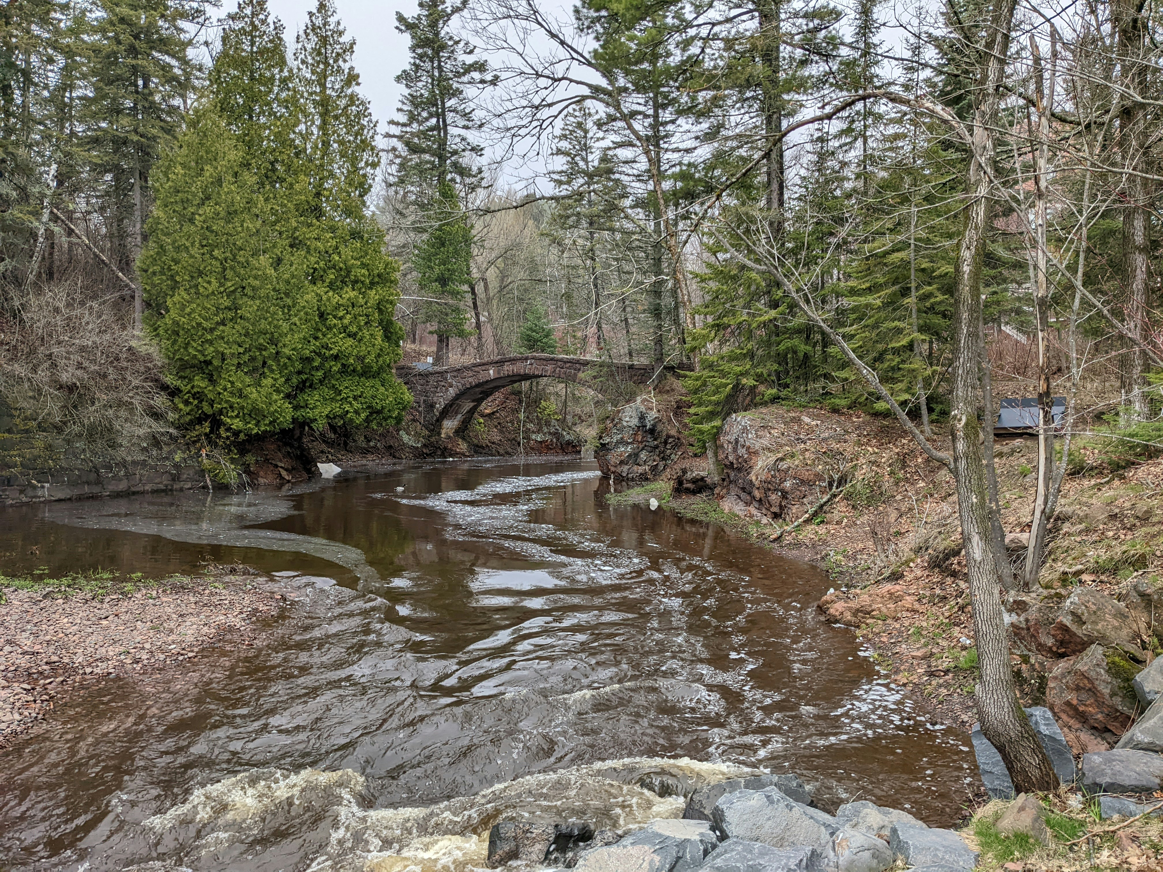 Une rivière qui coule à travers une forêt remplie d’arbres photo