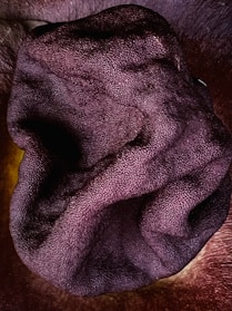 Close-up of a rich burgundy velvet cap resting on a wooden table with soft natural light highlighting its texture