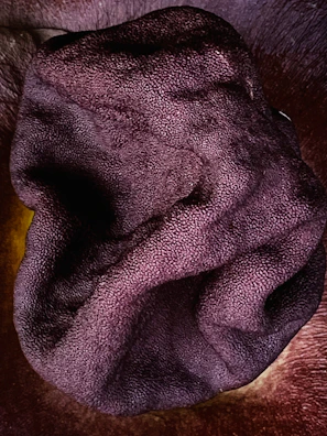 Hands feeling the texture of a rich, deep-colored fabric.