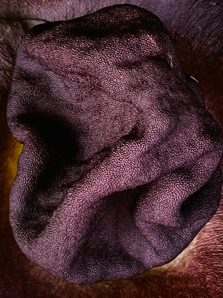 丝绒面料