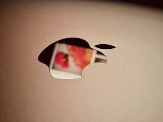 a close up of an apple logo on a laptop