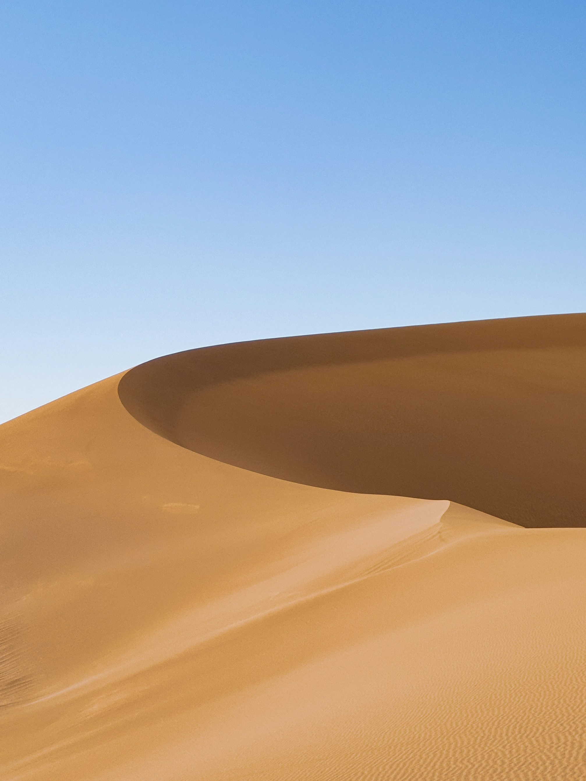 a person standing on top of a sand dune
