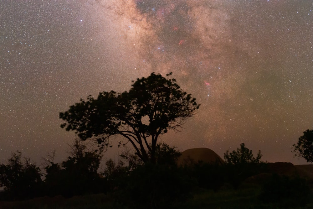 the night sky is filled with stars and trees