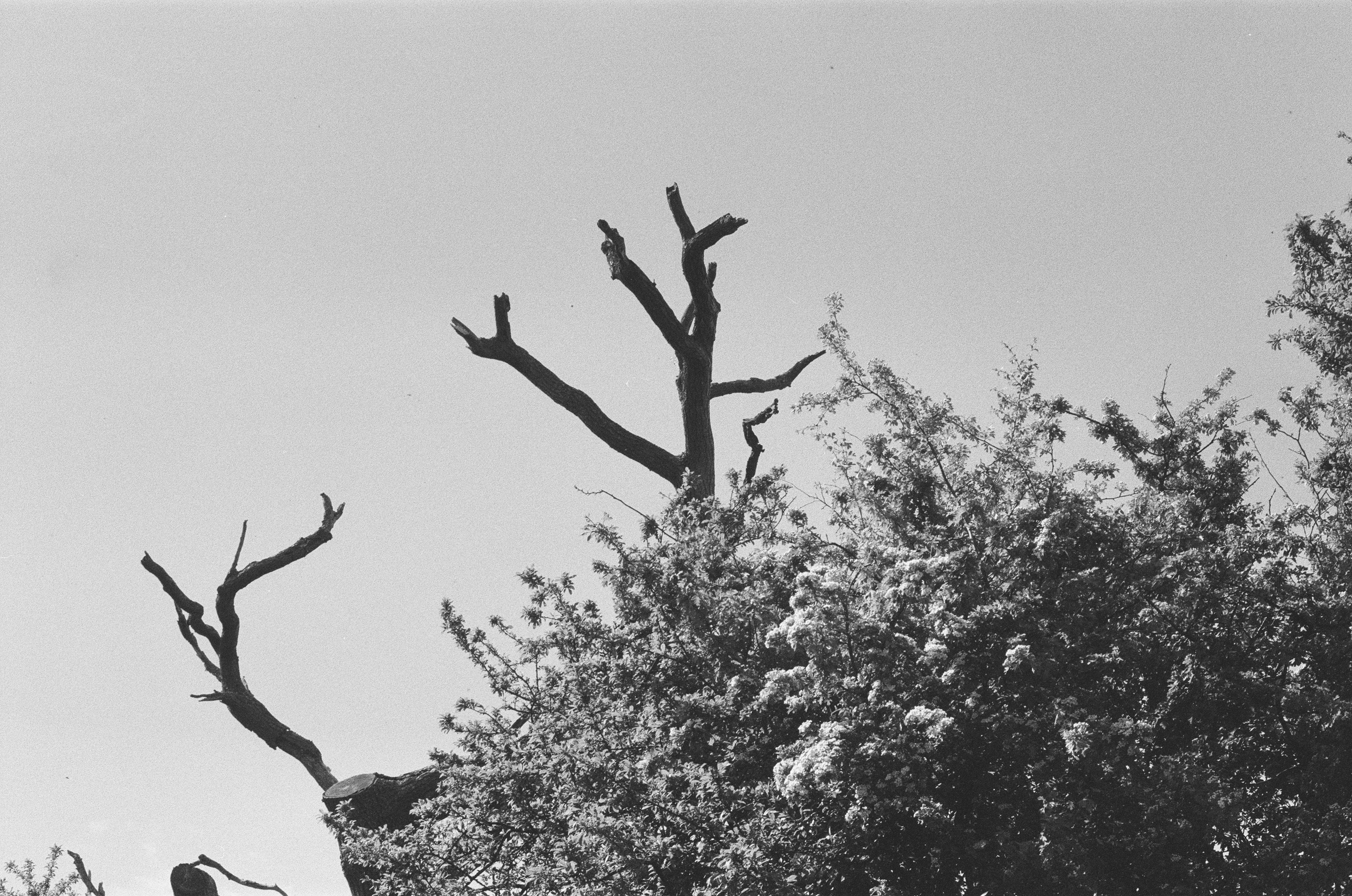 Photo by seanrobbins