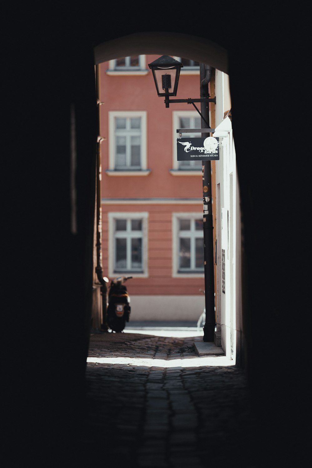 a cat is sitting on a cobblestone street