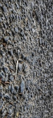A close-up view of a textured asphalt surface with gravel. The surface is composed of small stones and coarse material, giving a rough appearance.