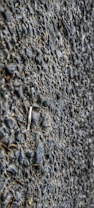 A close-up view of a textured asphalt surface with gravel. The surface is composed of small stones and coarse material, giving a rough appearance.