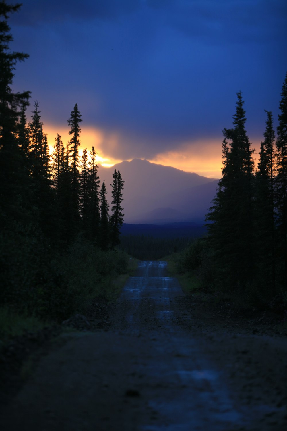 a dirt road surrounded by trees under a cloudy sky