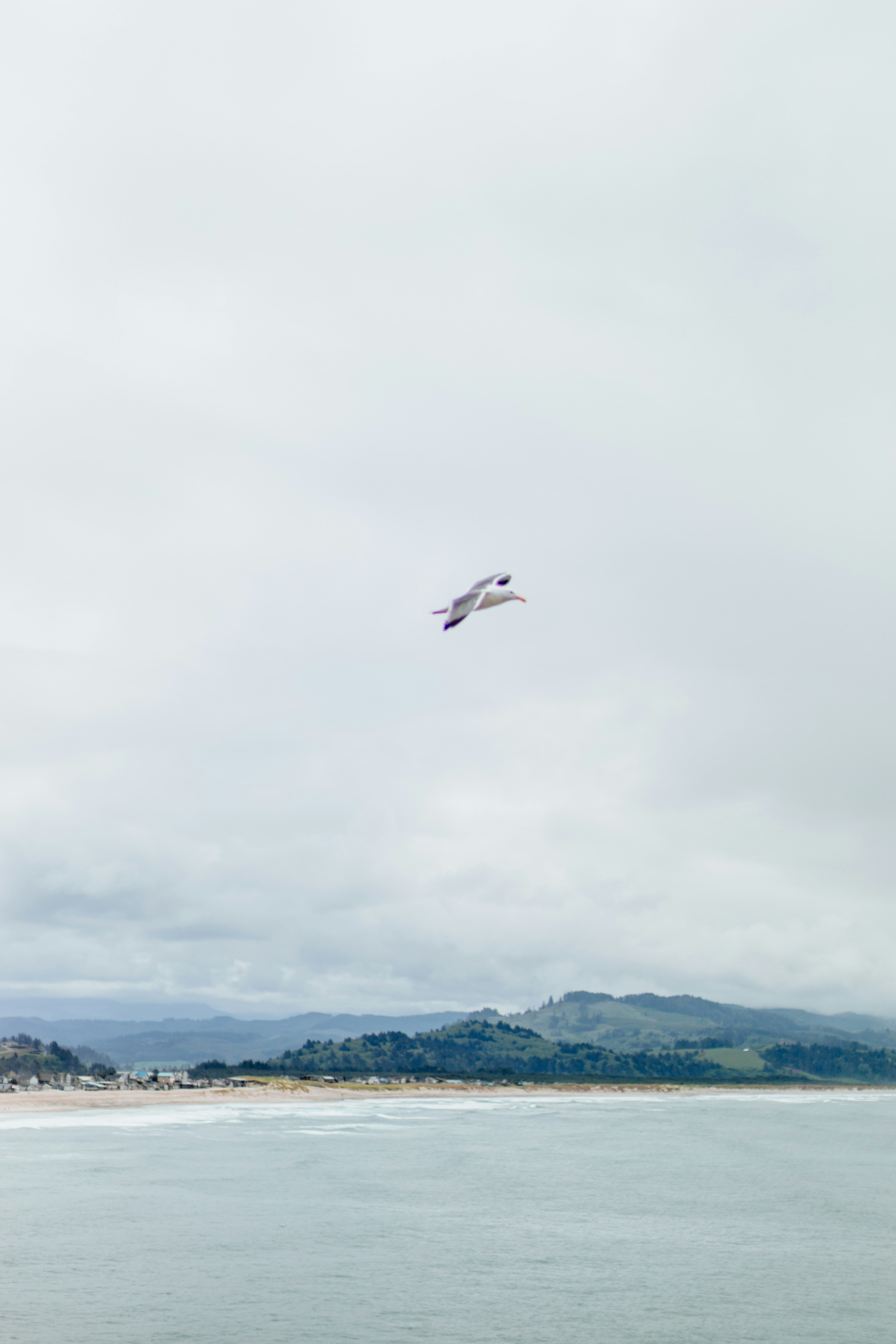 a seagull flying over the ocean on a cloudy day