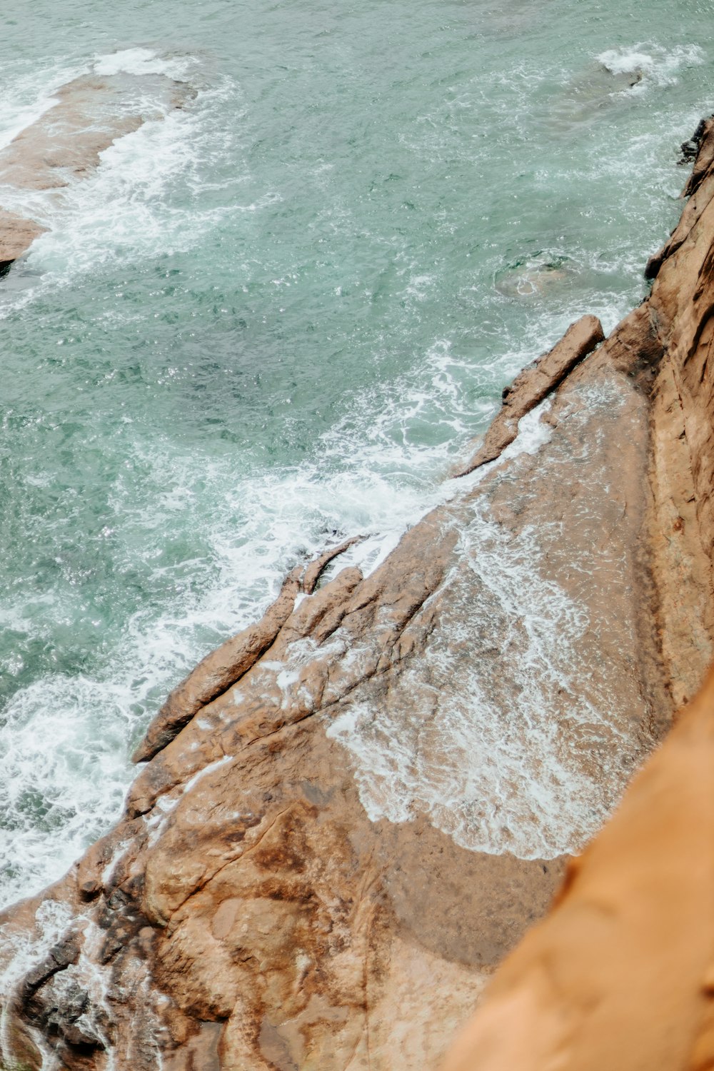 a bird sitting on a rock near the ocean