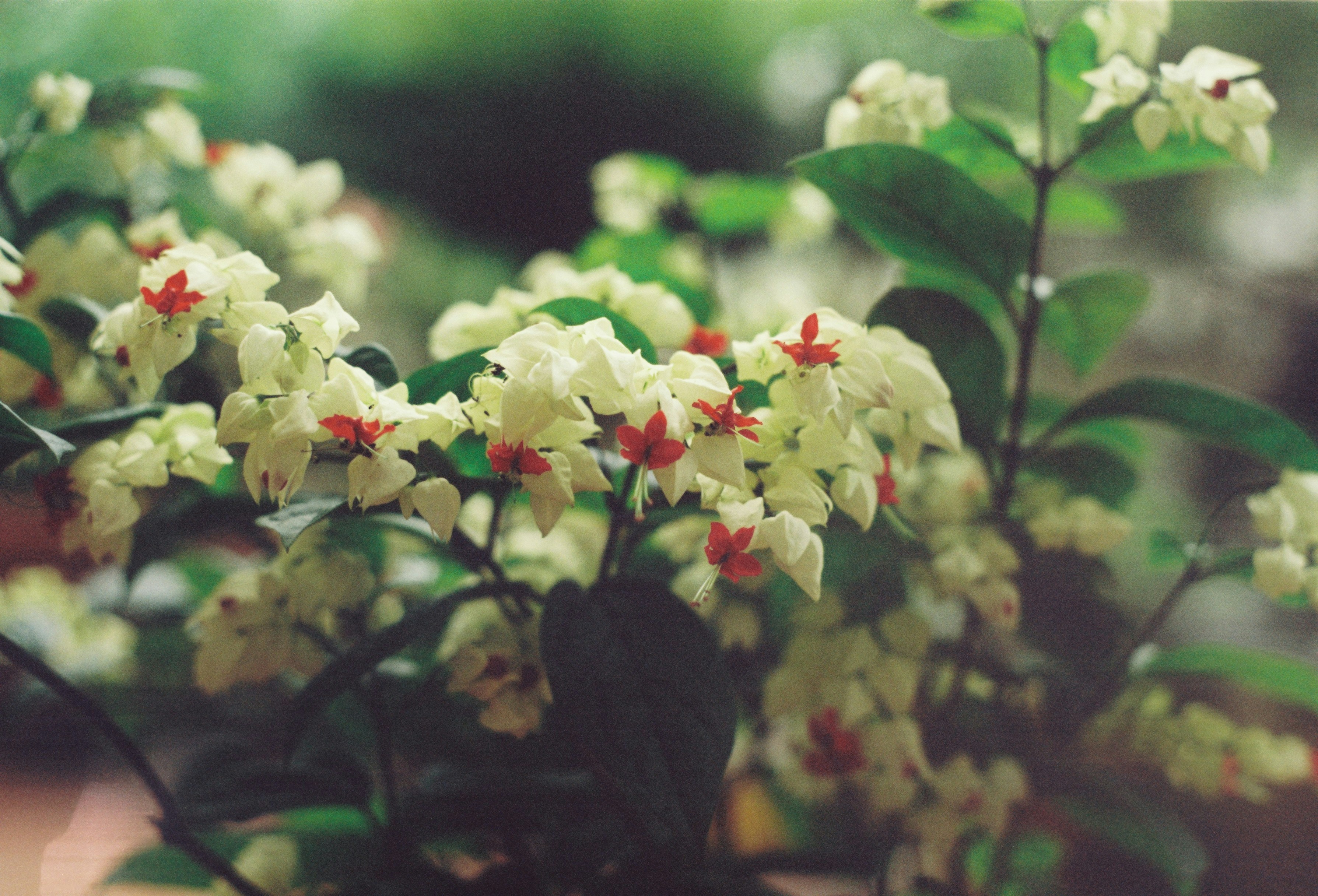 Photo by trangnltt02