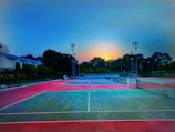 A bright morning paddle session with players warming up on a sunlit court surrounded by lush greenery.