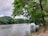 A serene lakeside view showcasing lush greenery and a tranquil atmosphere.