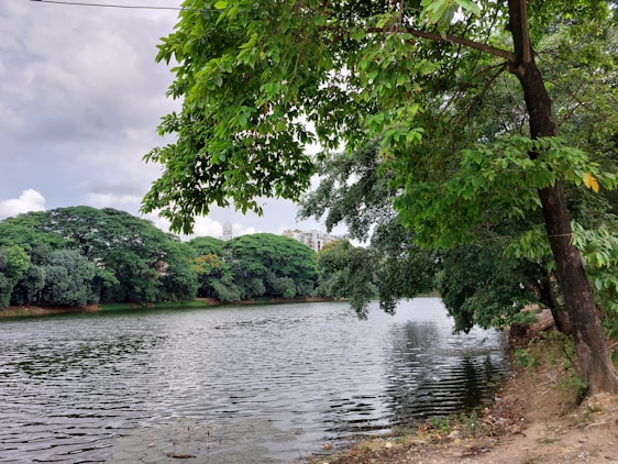 Serene lakefront view at sunrise with lush greenery and balconies overlooking calm water.