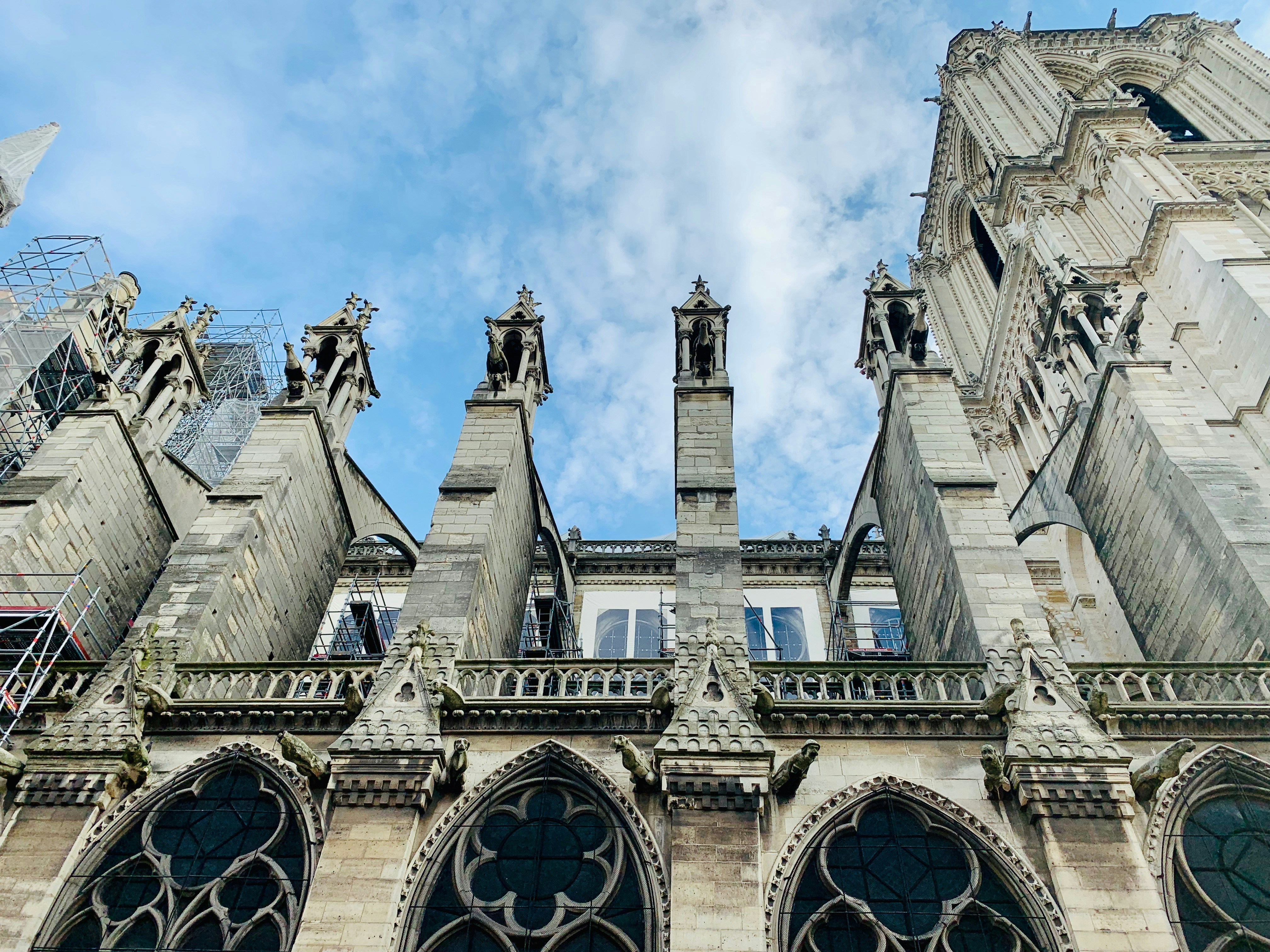 Photo by redtulipsky