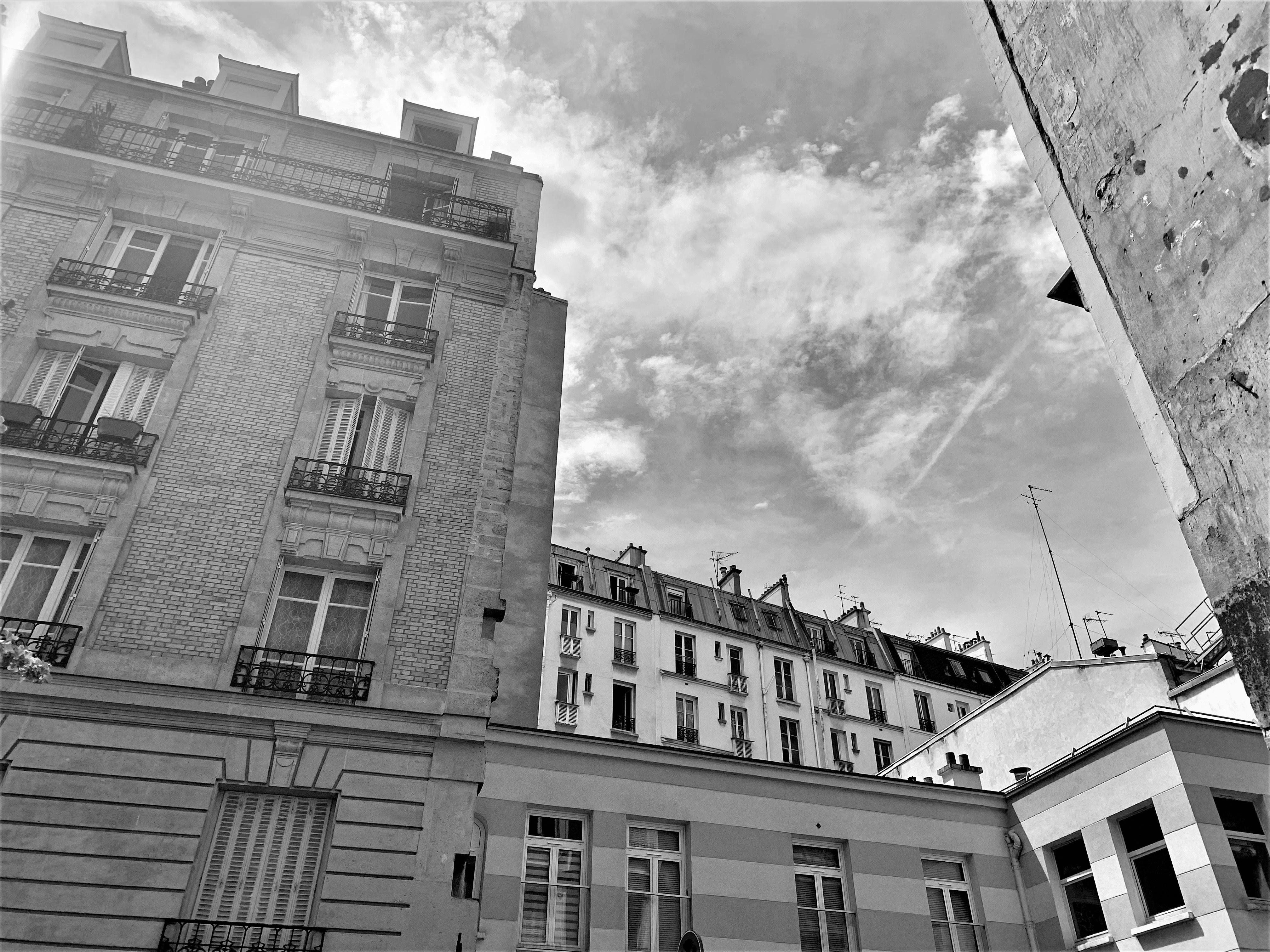 Photo by redtulipsky