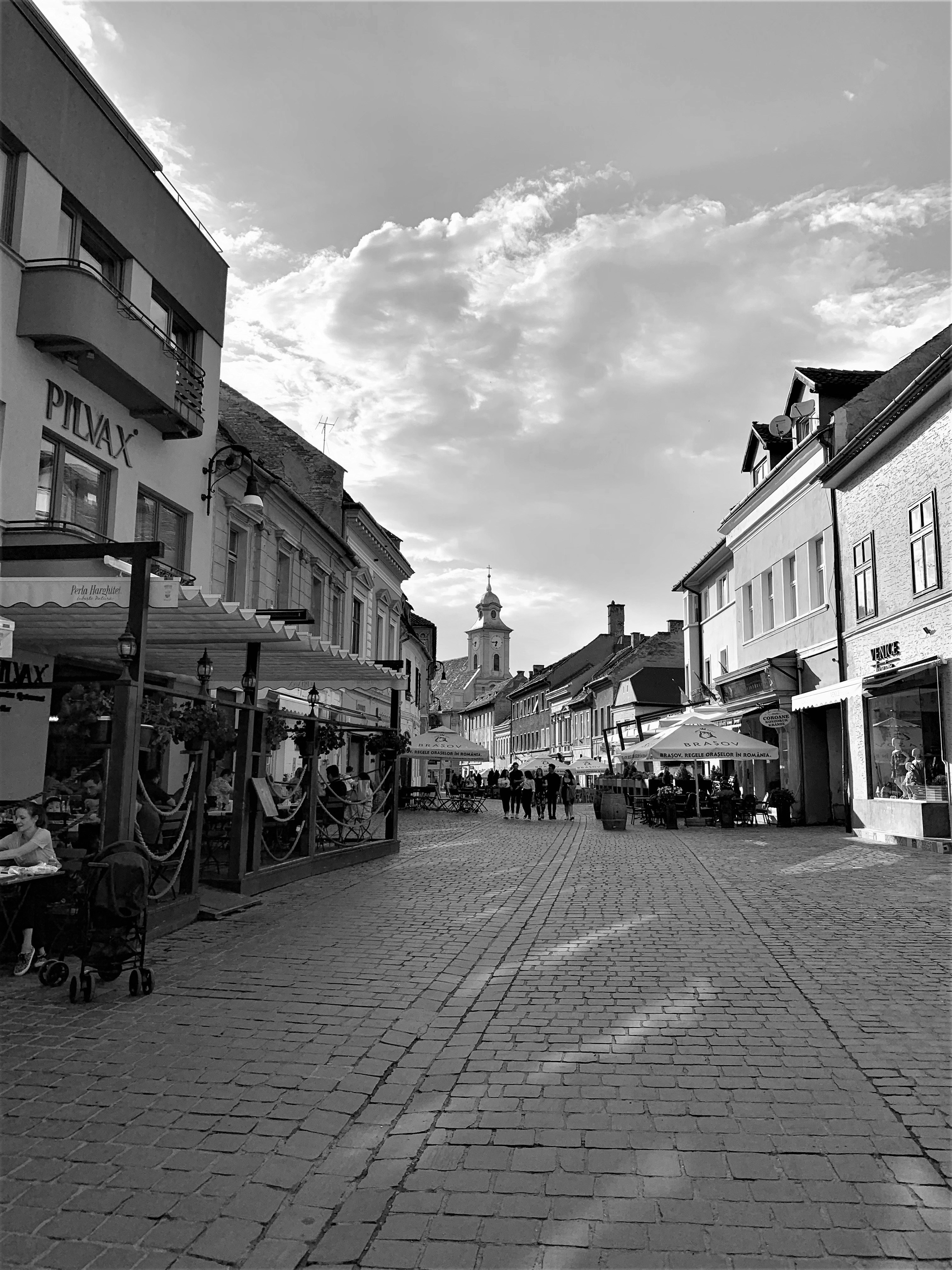 Photo by redtulipsky