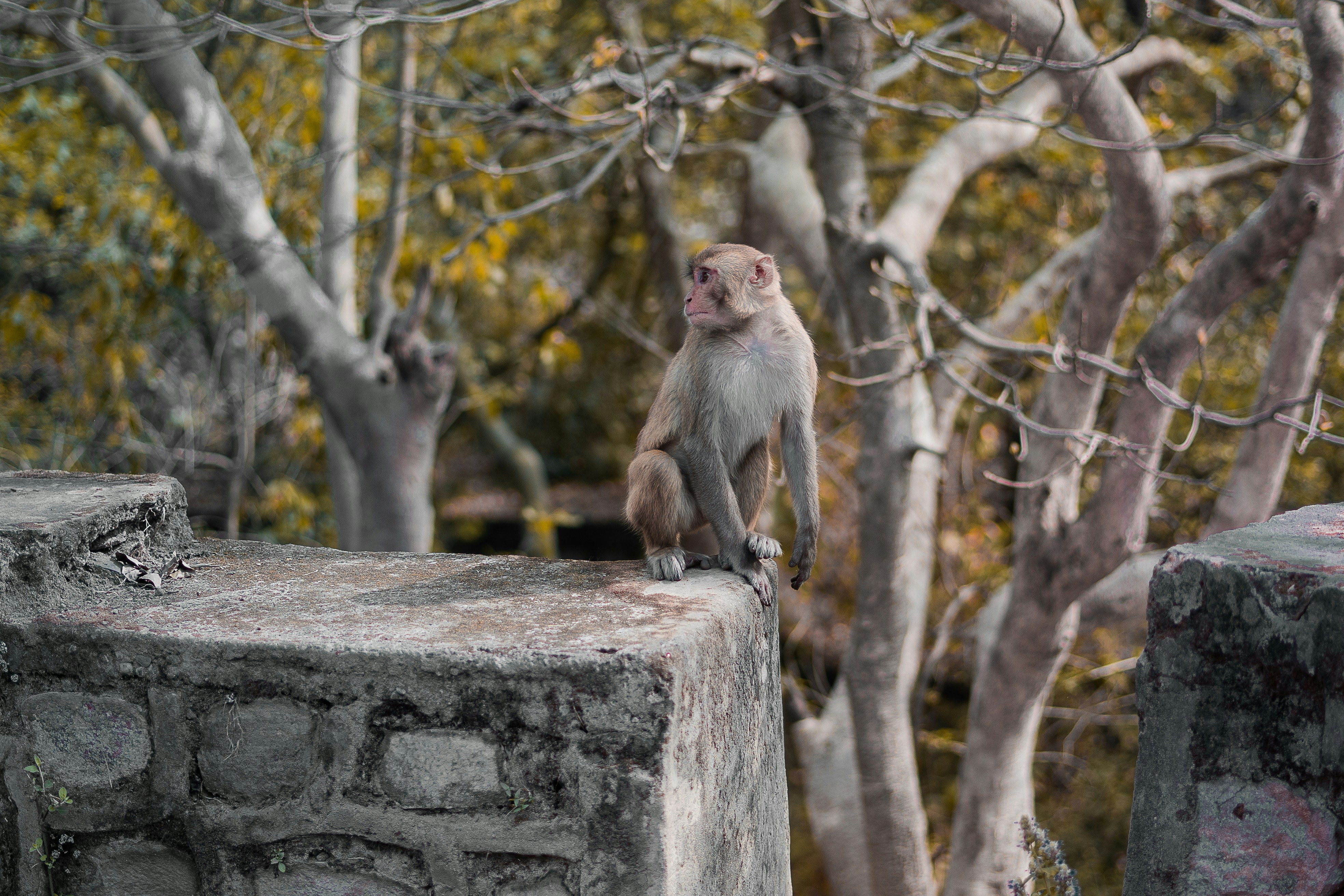 Photo by vaibhav9286