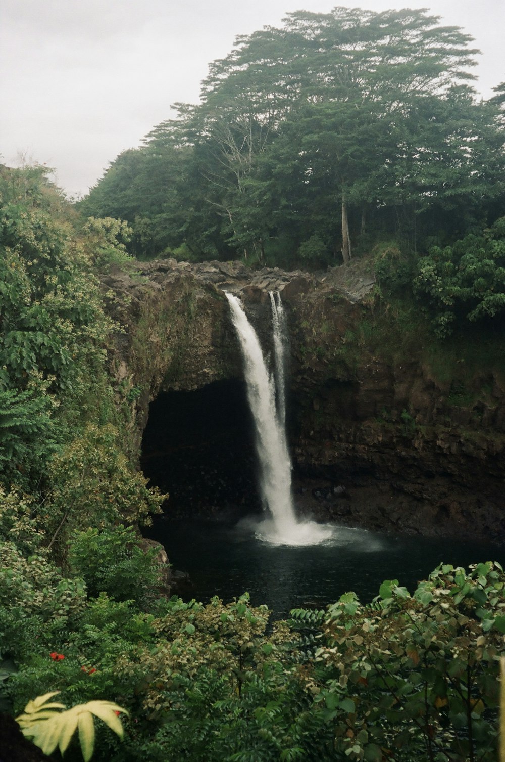 a waterfall in the middle of a forest