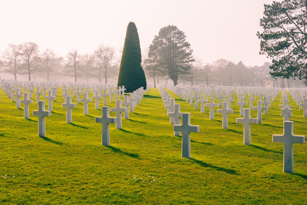 a cemetery with rows of crosses in the grass
