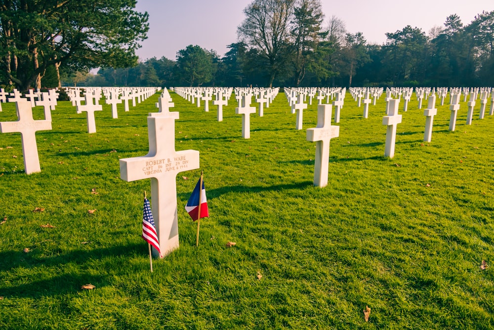 a field full of crosses with flags on them