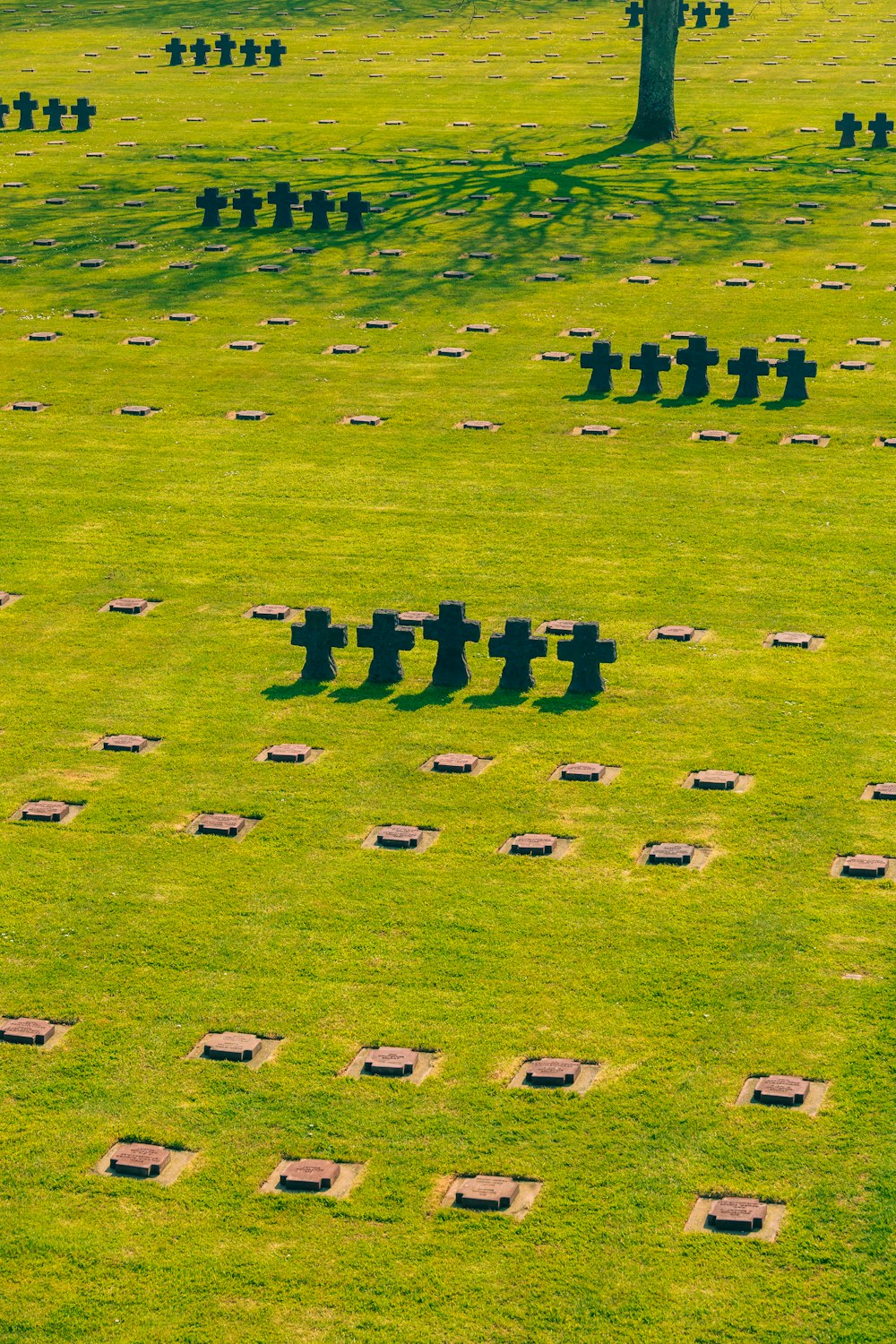 um campo com um monte de lápides nele