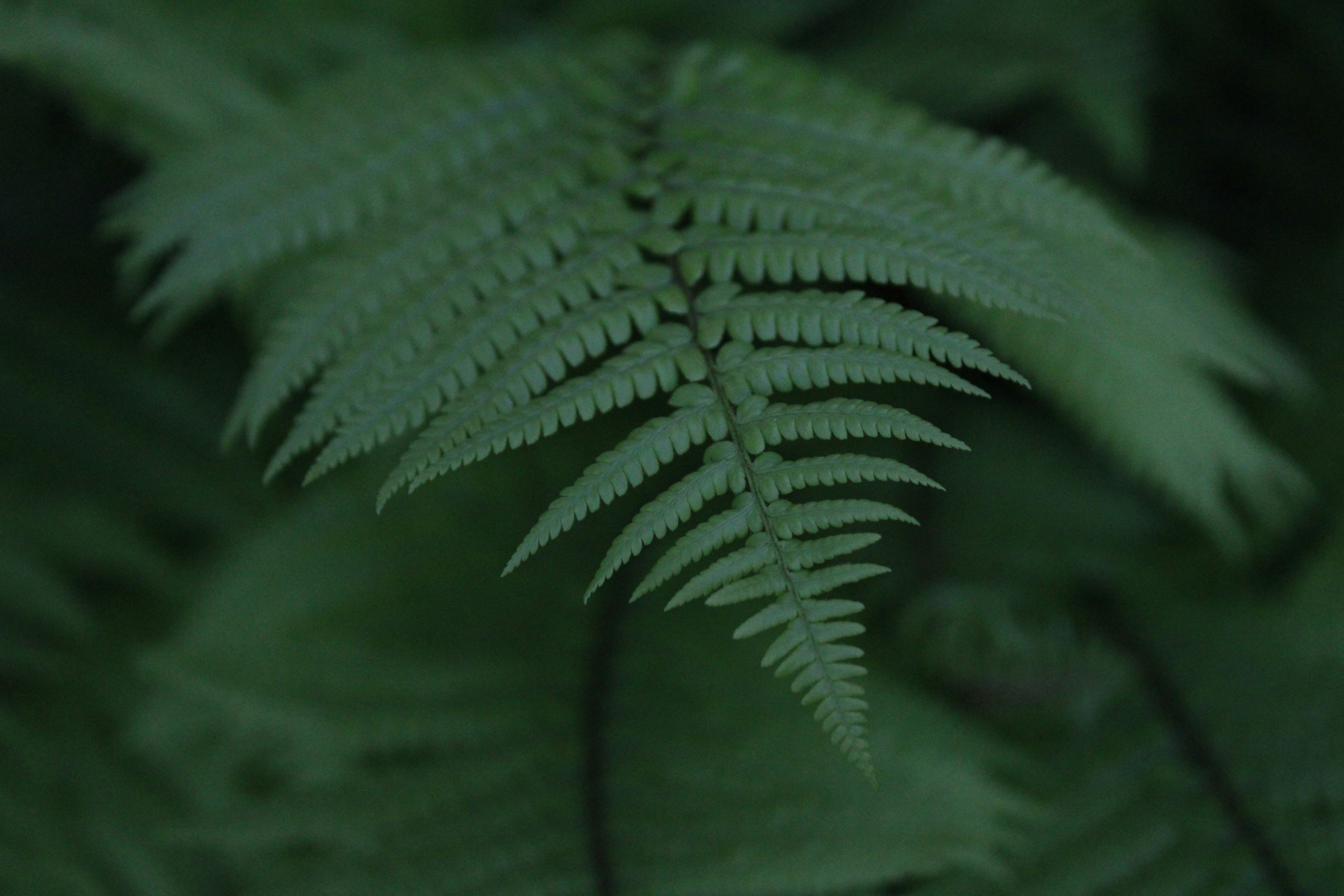 Photo by balesphotographyco