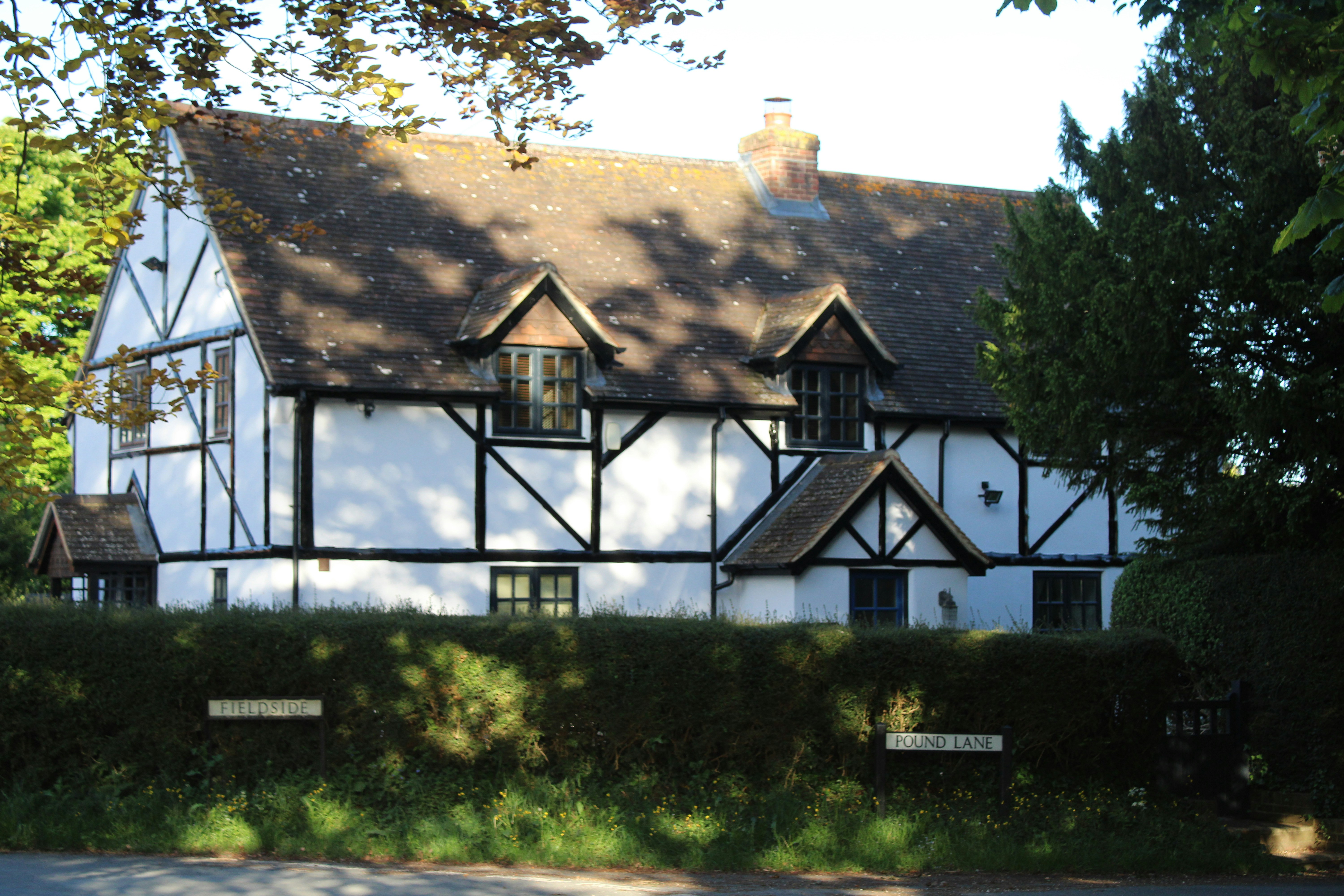 Photo by balesphotographyco